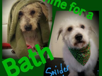 bath