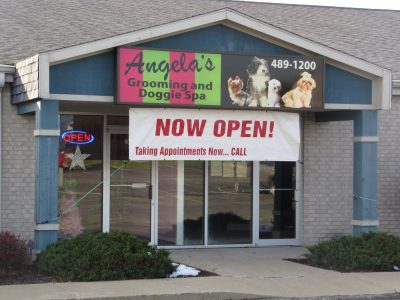 fortwayne (1)