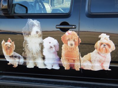 groomvan2
